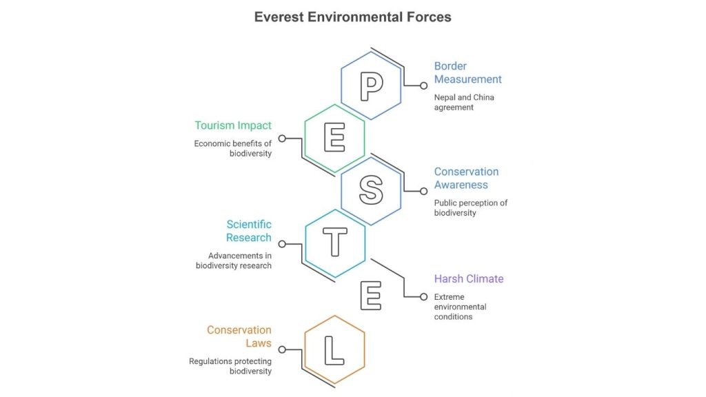 Everest Environmental Forces