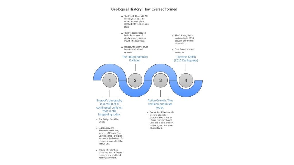 Geological History: How Everest Formed