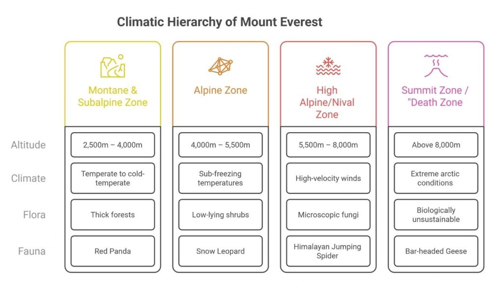 Hierarchy of Mount Everest
