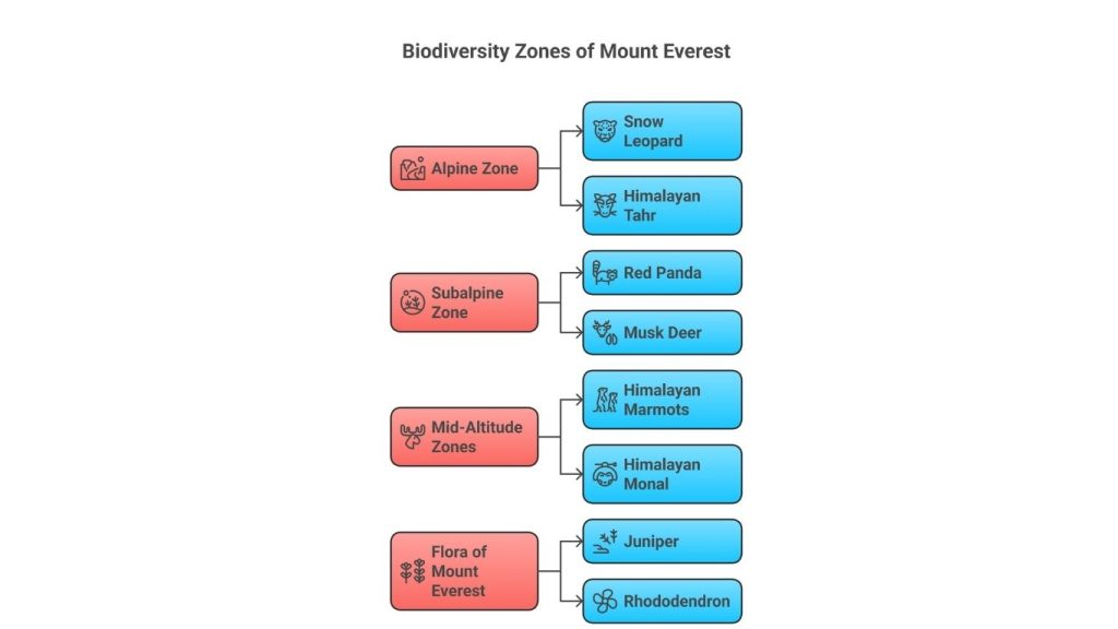 Animals Found in Mount Everest