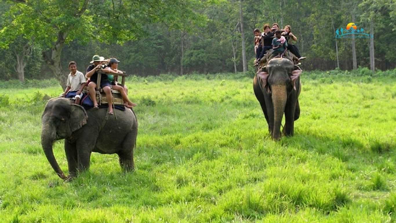 Chitwan National Park