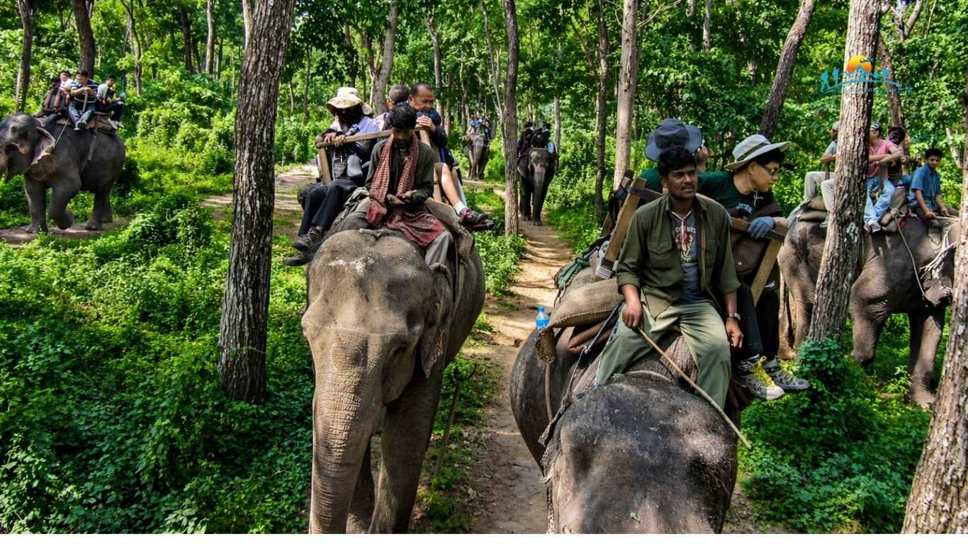 Jungle Safari in Nepal