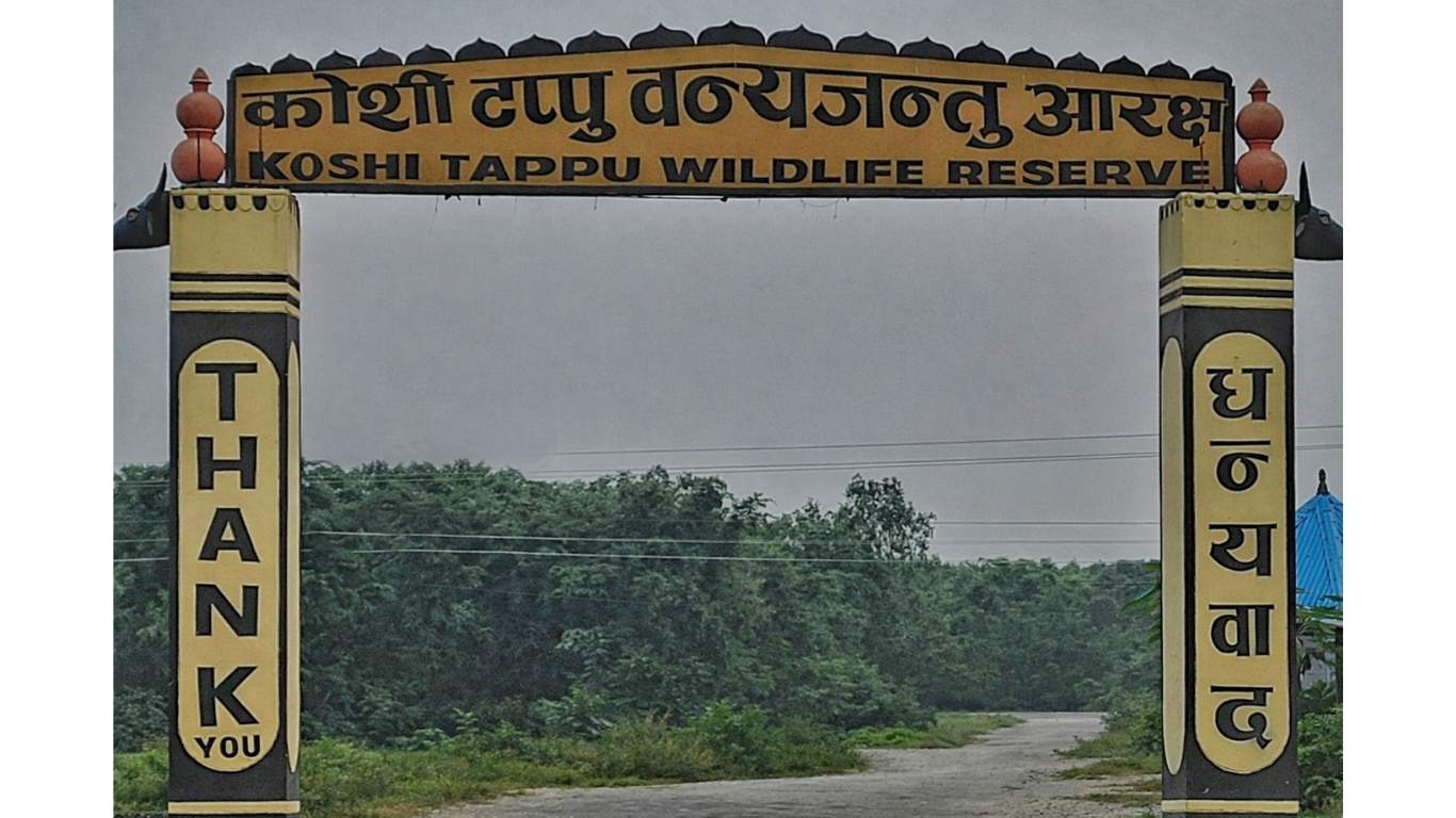 Koshi Tappu Wildlife Reserve