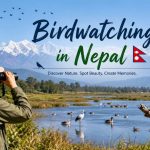 Birdwatching in nepal
