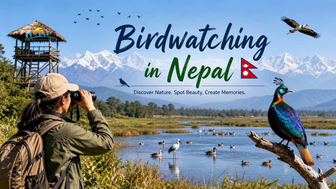 Birdwatching in nepal