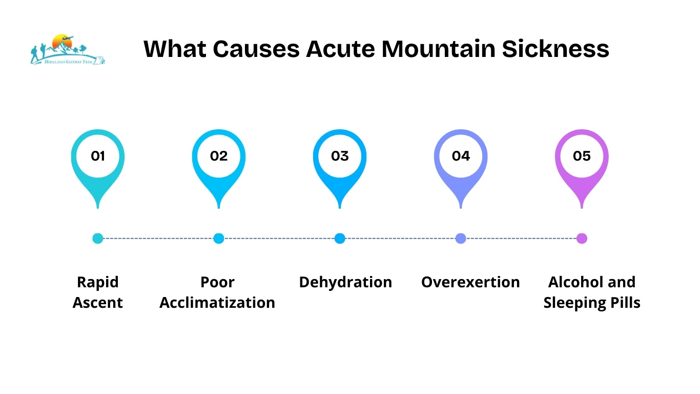 What Causes Acute Mountain Sickness