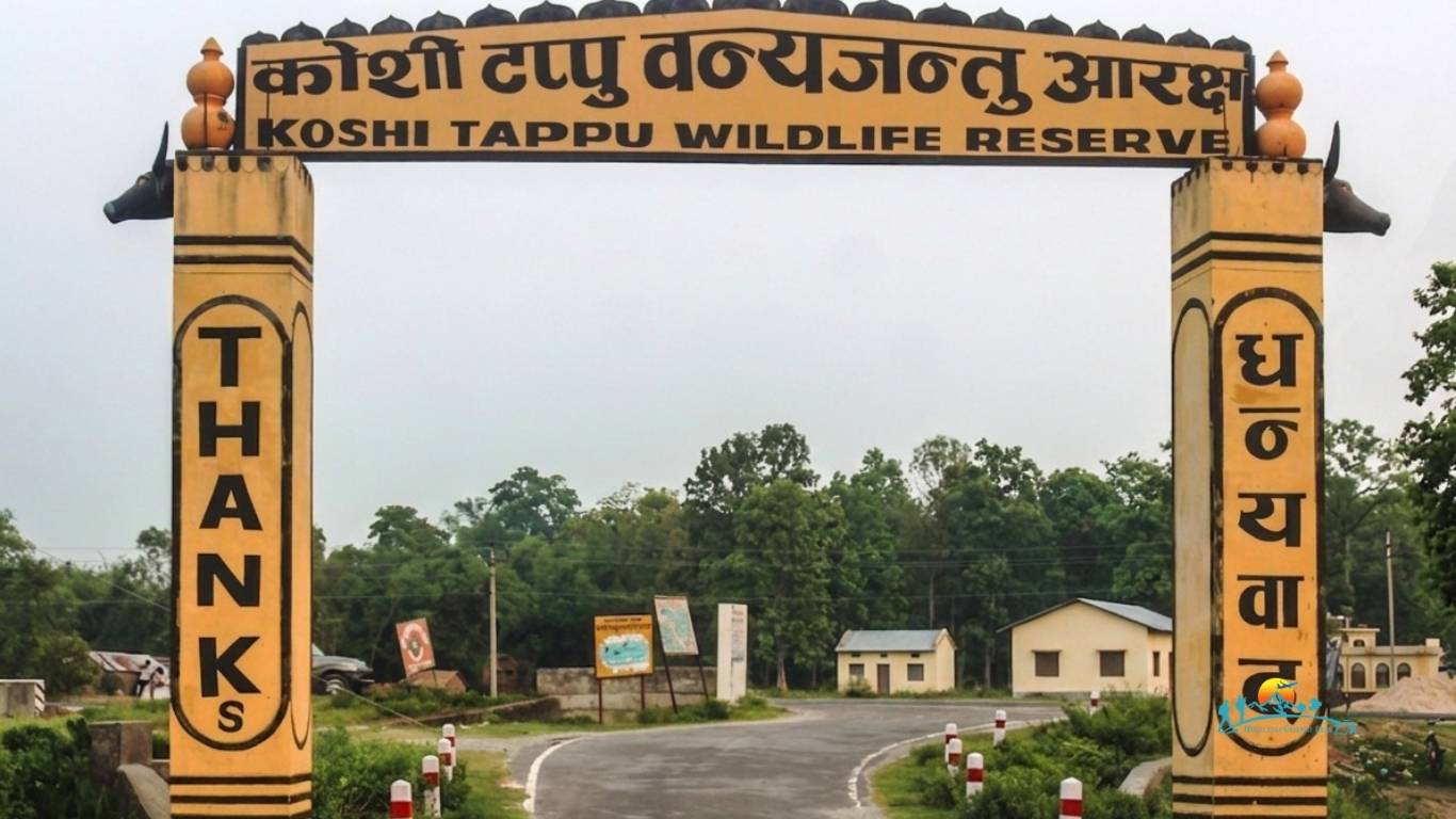 Koshi Tappu Wildlife Reserve
