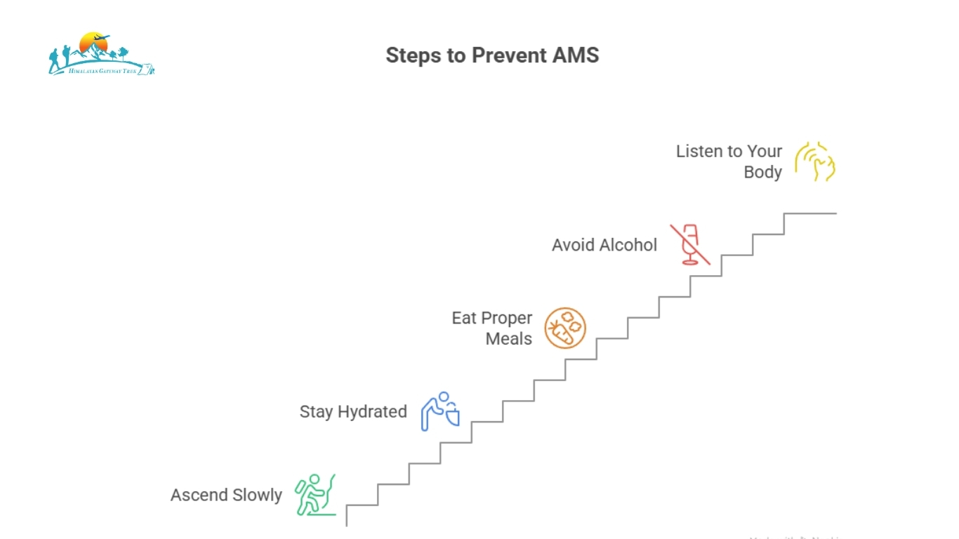 Steps to Prevent AMS