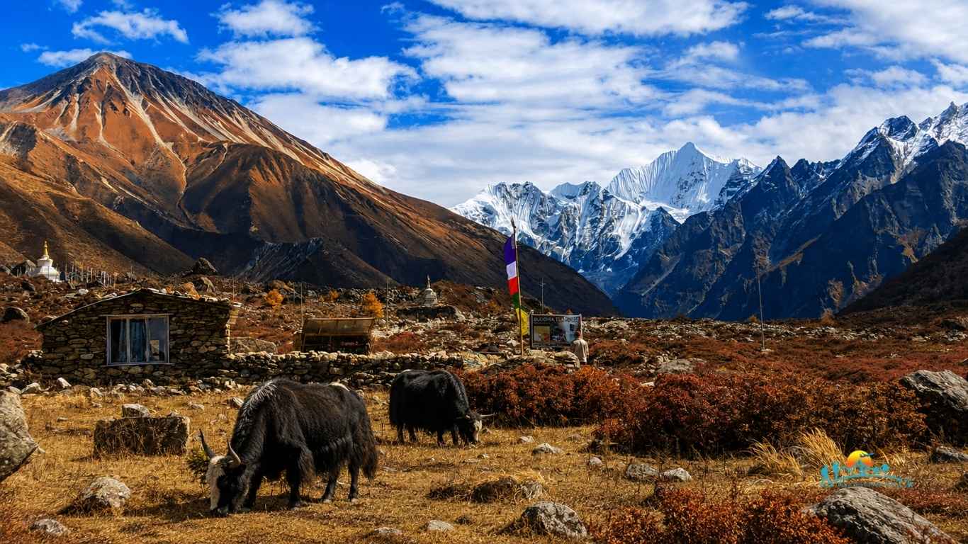 Geography of Langtang National Park