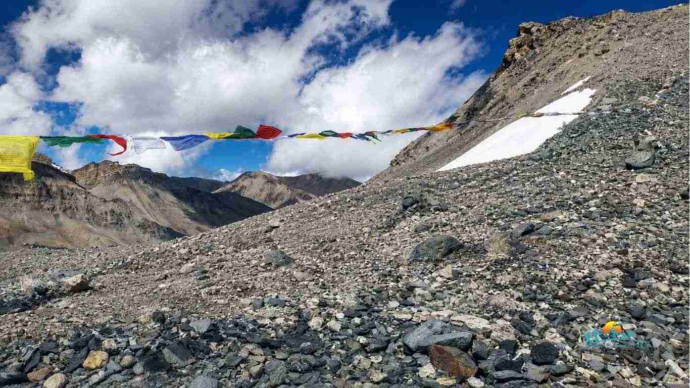 Teri La Pass