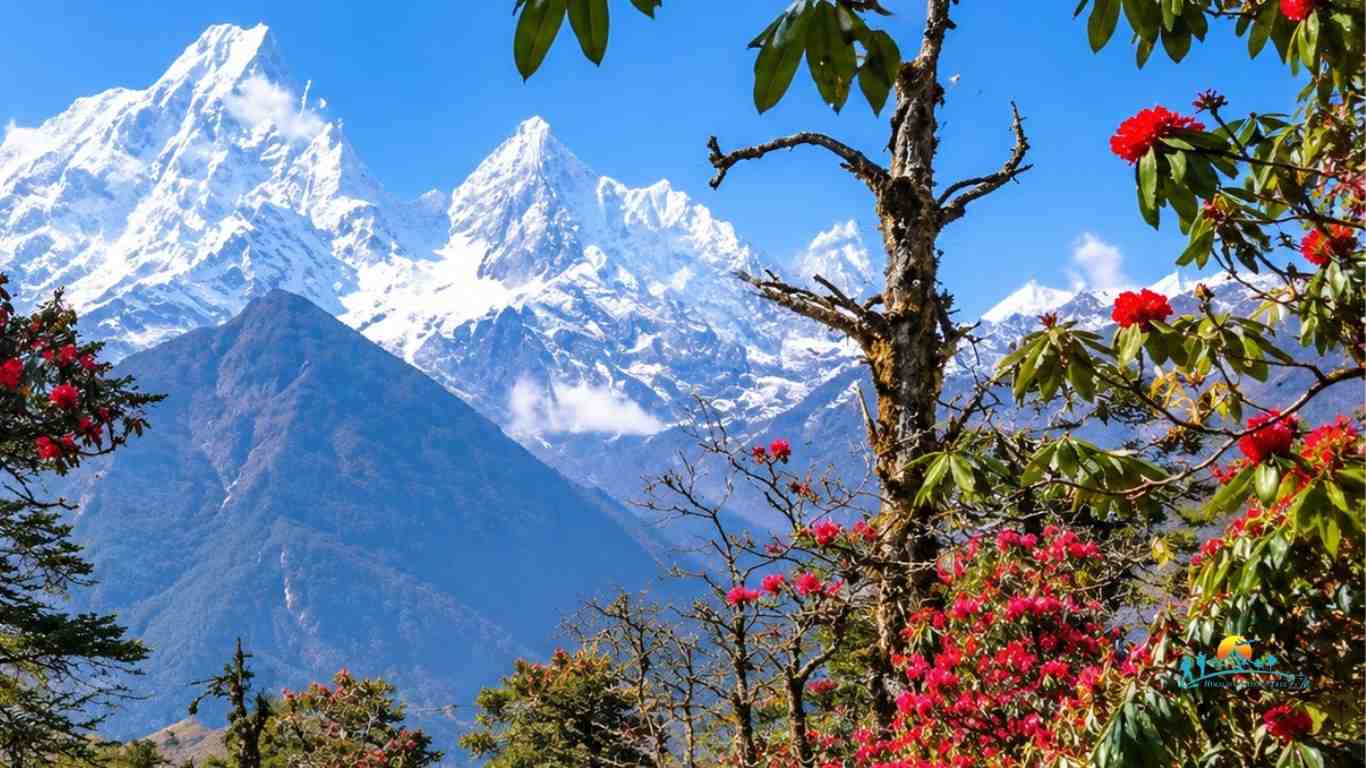 Manaslu Circuit Trek in Spring